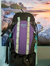 VTG Dana Design Backpack Blaze Purple Black USA 19x9x9