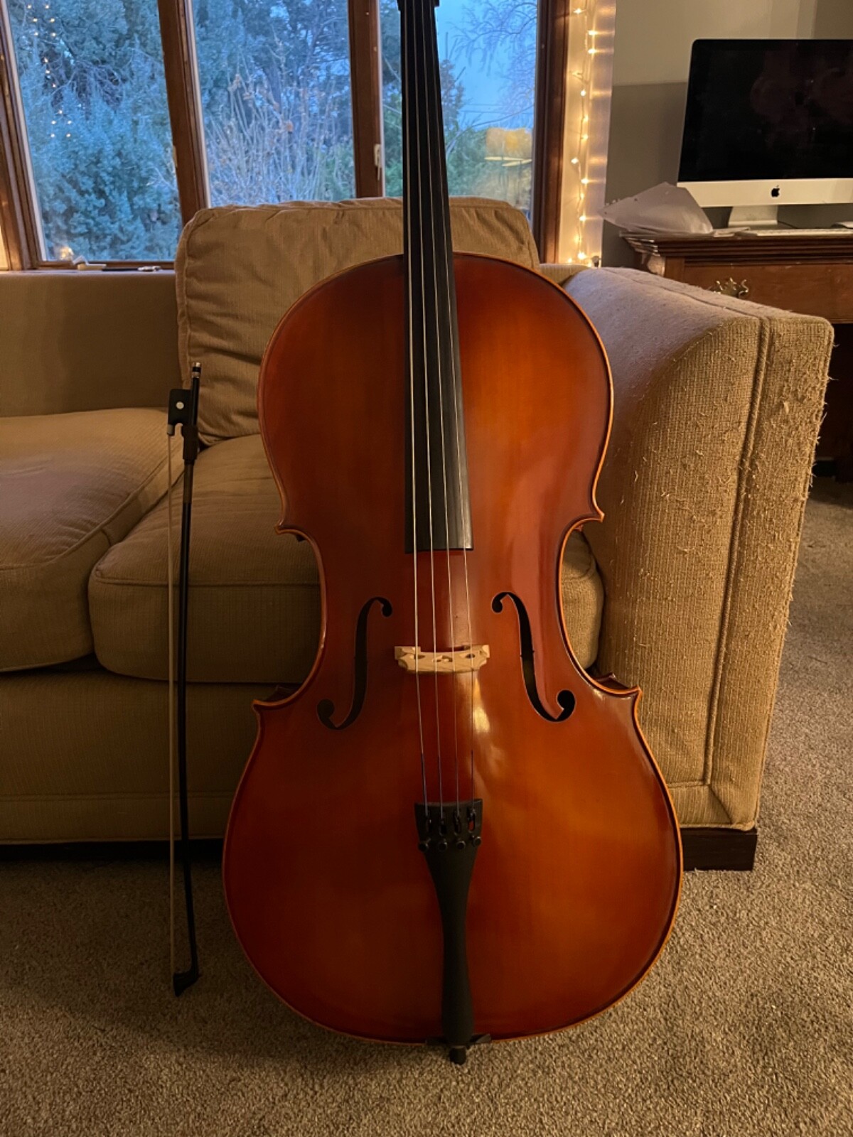 Beautiful Eastman cello 4/4 used in good condition eBay