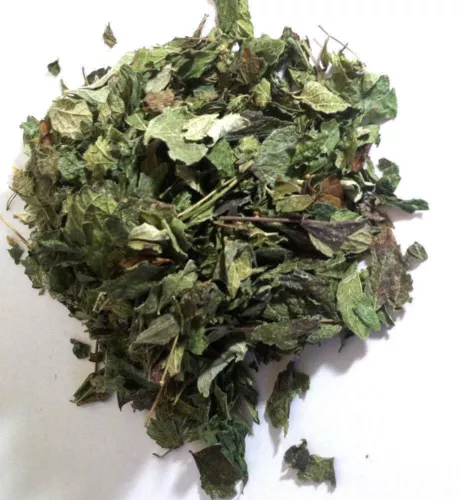 Mexican Dream Herb (Calea Zacatechichi) Wildharvested Mexico 2 oz. - 1 kg.