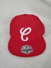 Chicago White Sox Collecting and Fan Guide 35