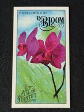 2019 Topps Allen & Ginter #IB-8 Moth Orchid In Bloom