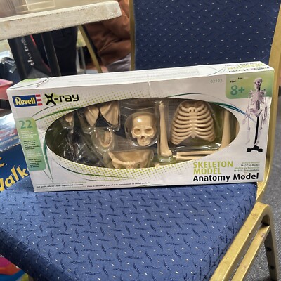 Seltenes Revell 2011 Human Skeleton Anatomy Modell Neu in Box