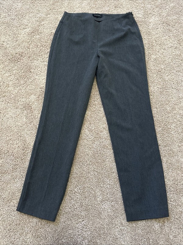 Talbots Women’s Dress Pants Gray Straight Stretch Side Zip Size 6