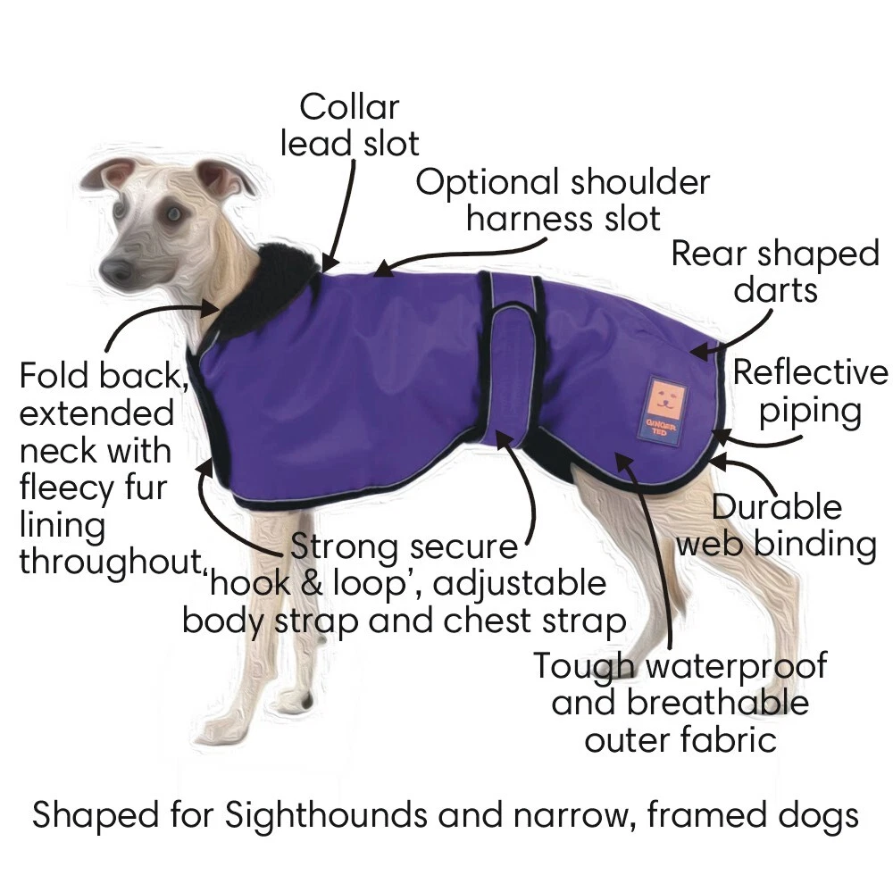 Ginger Ted Waterproof Greyhound Whippet Lurcher Harness Coat