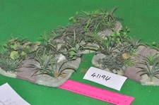 25mm  /  - shrubs plastic   (as photo) - scenics (41194)