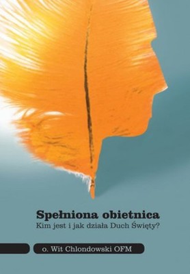 Spełniona obietnica. Kim jest i jak działa Duch Święty? (Spełniona obietnic...)