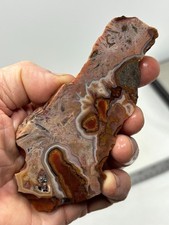Turkish Stick Agate slab Cabbing Lapidary Collecting Combo Ship avail