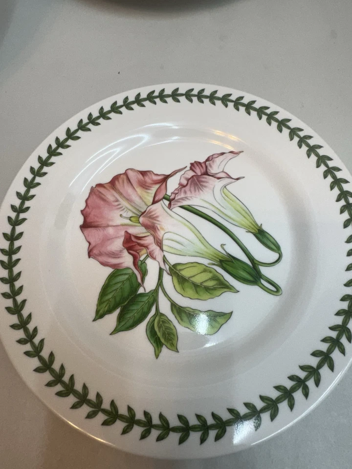Portmeirion Exotic Botanic Garden Melamine Salad Plates 8” Set of 4 Pool Patio - Image 3 of 4