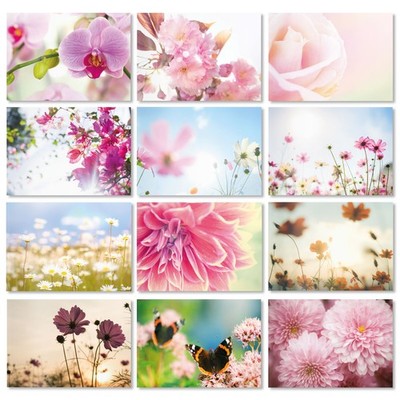 2 x 12 neutrale Blumen Postkarten I dv_314 I DIN A6 I 24er Set Grußkarten