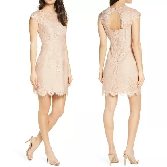 BB Dakota Women s Jayce Lace Sheath Cocktail Dress Champagne Keyhole Back NWT 12