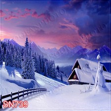 Winter 10'x10' Computer-painted Scenic Photo Background Backdrop SN739B881
