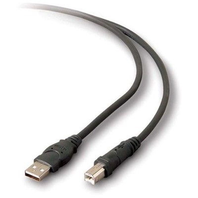 Belkin USB Extension Cable - USB for Printer, Scanner, Hard Drive - 16 ft - 1