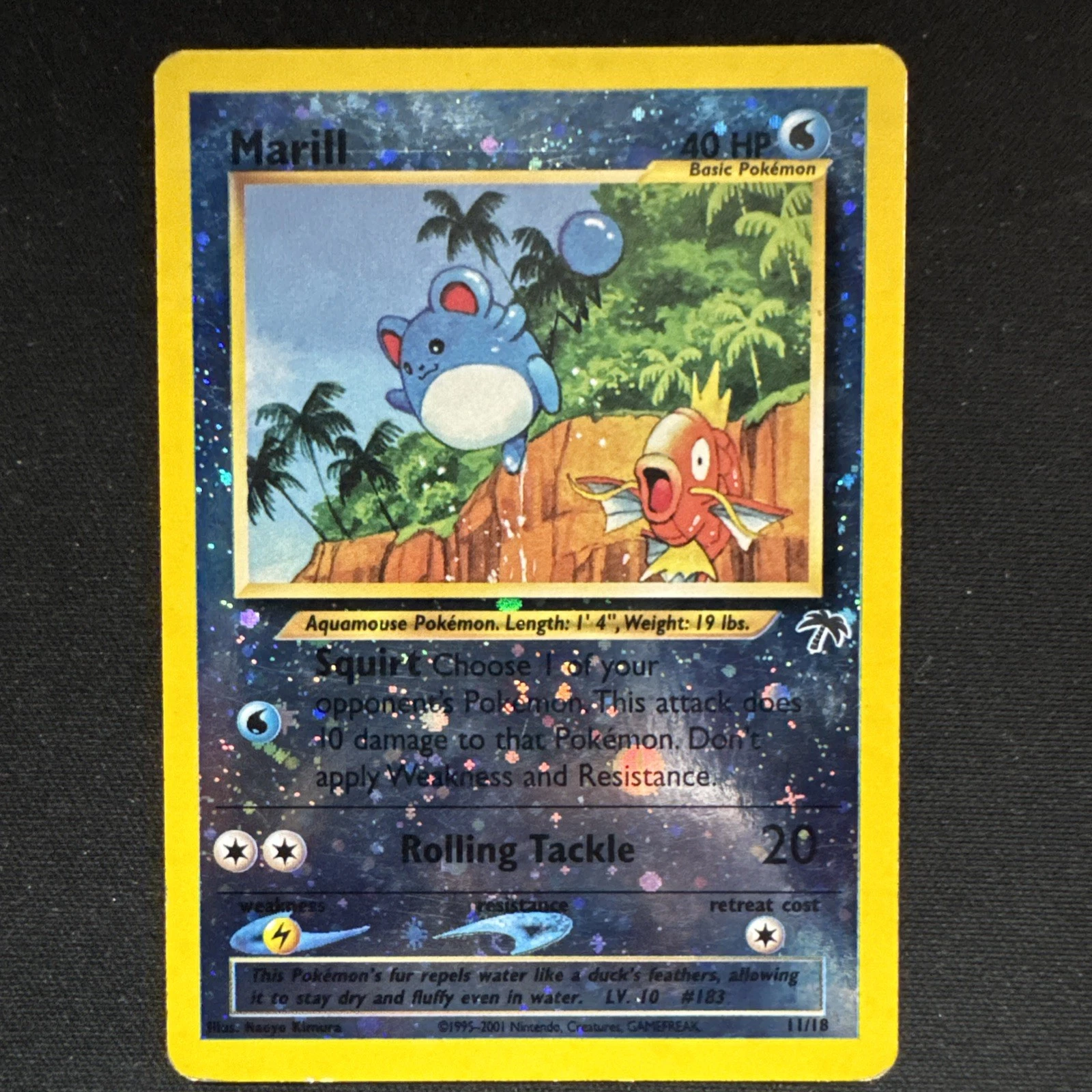 Marill - Southern Islands #11 Price & Value ($154.46) | PokeScope