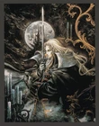 Castlevania Symphony of the Night Playstation 1 PS1 Game Art Print Poster (B)