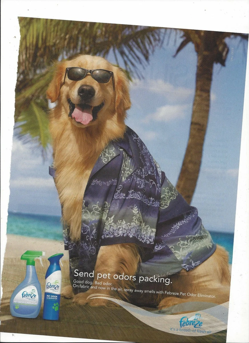 Febreze top dog odor