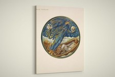 Edward Burne–Jones - The Flower Book False Mercury - Paper or Canvas