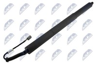 NTY Gasfeder, Koffer-/Laderaum AE-FR-071 FüR Ford USA