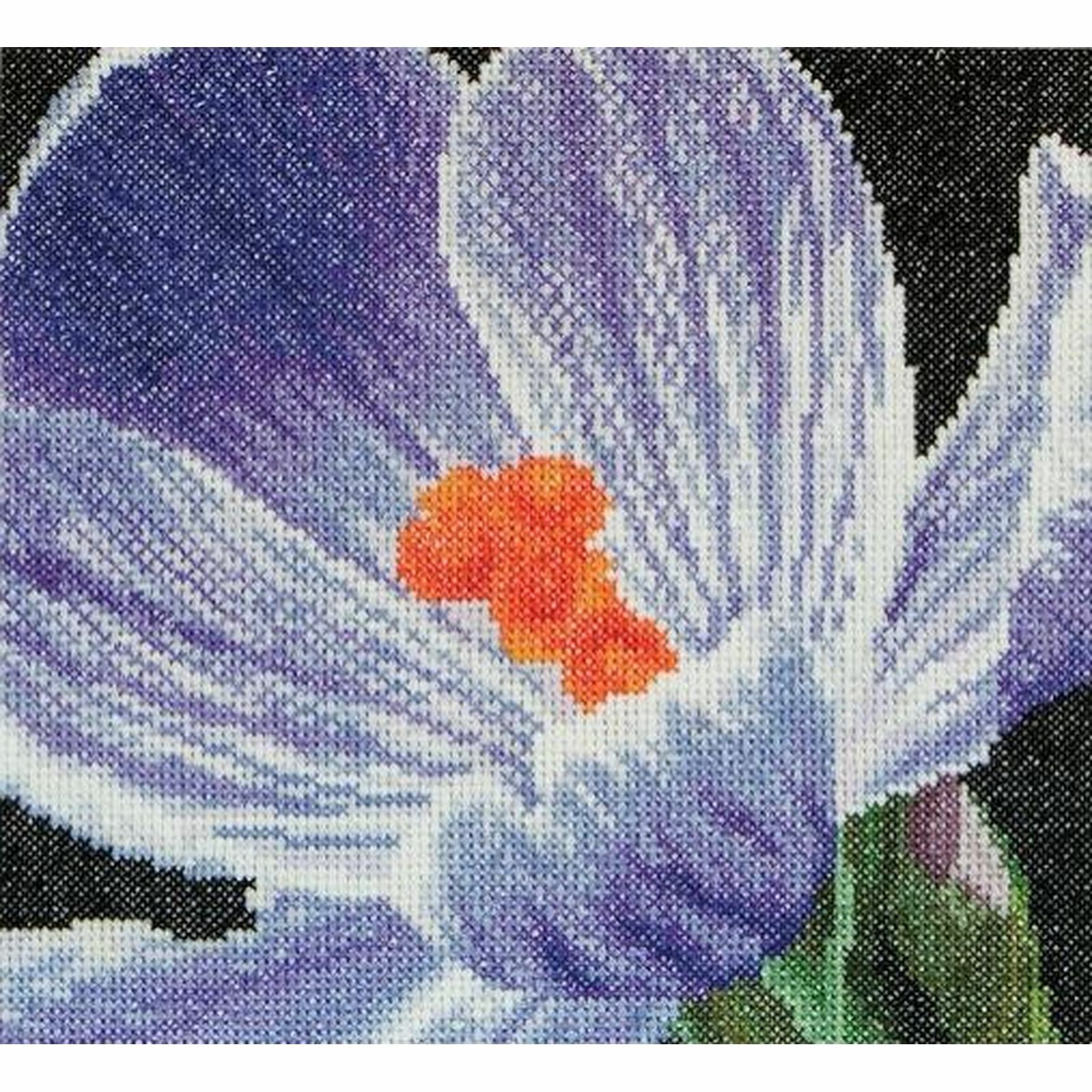 Kit a punto croce Crocus 487A thea gouverneur Aida