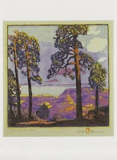 Postcard Gustave Baumann "Pines - Grand Canon" 1920-1926 Museum Fine Arts NM MNT
