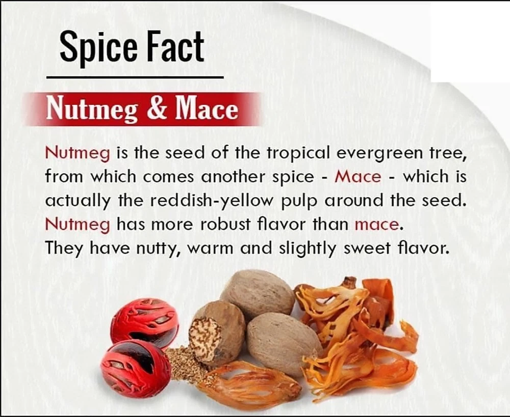 What Is Difference Between Javitri And Jaiphal Mace Vs, 51 OFF