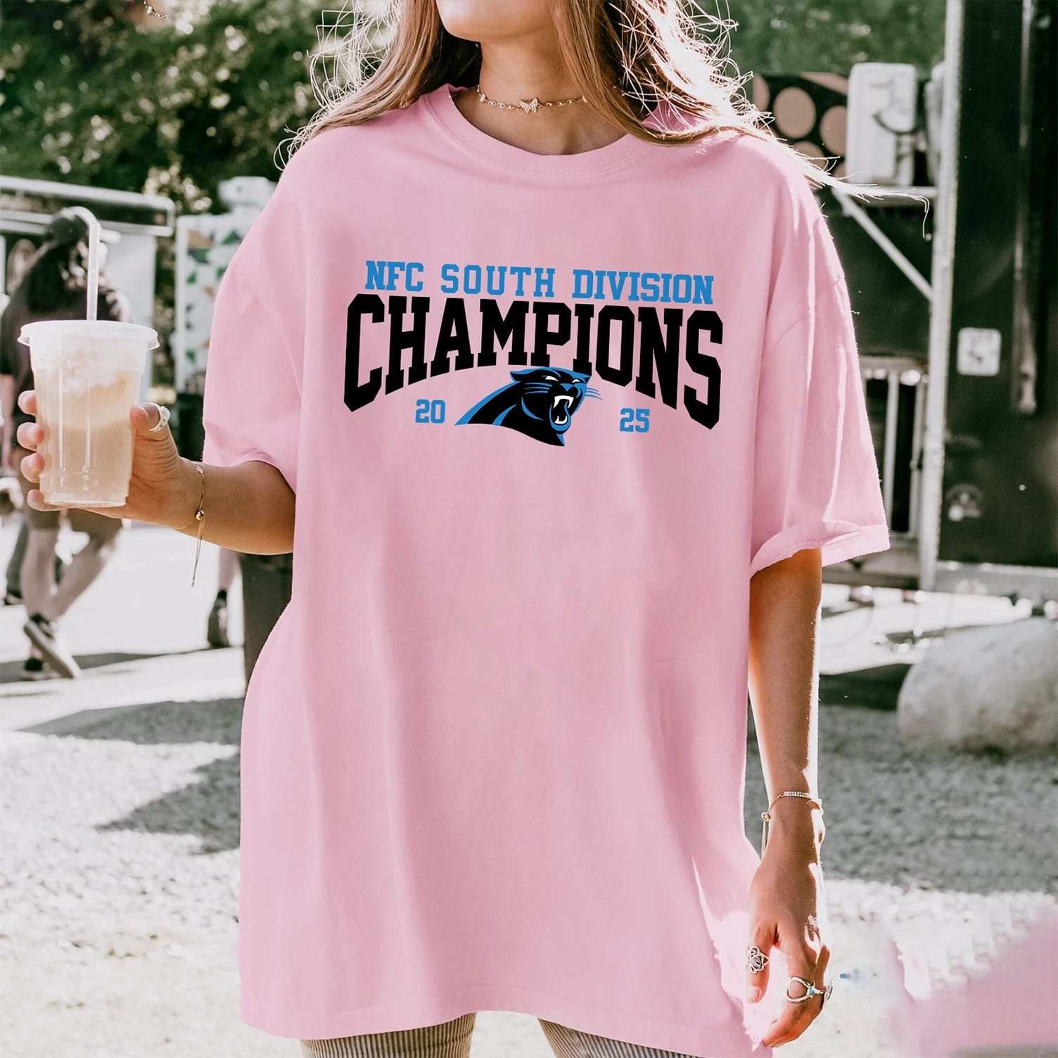 Carolina Panthers NFC South 2025 Champions T-Shirt
