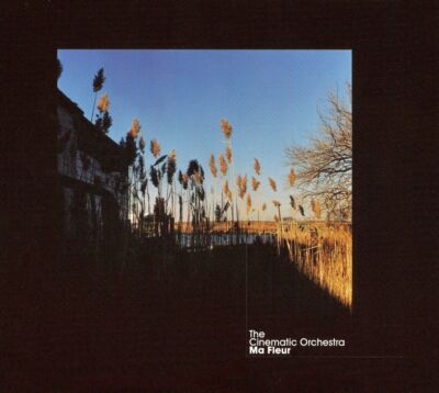 THE CINEMATIC ORCHESTRA MA FLEUR NEW VINYL RECORD