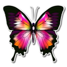 Beautiful Butterfly Colorful Car Laptop Phone Vinyl Sticker - SELECT SIZE