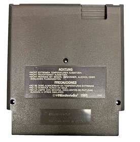 IronSword: Wizards & Warriors II (2) | NES | Nur Modul | Zustand: GUT