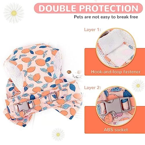 Dog Harness and Leash Set with Bow Knot No Pull Pet Floral Medium Orange