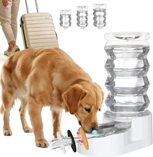 Large Gravity Water Dispenser: 8L Automatic Stainless Steel Dog Water Feeder wit