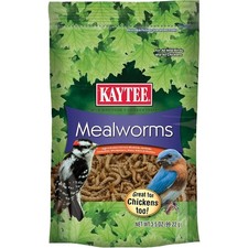 Dried Mealworms for Wild Birds Bluebirds Wrens Robins Chickadees Woodpeckers