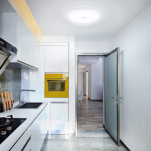 Lampa sufitowa LED Lampa sufitowa Łazienka Salon Kuchnia Piwnica Łazienka Lampa Sufit - Zdjęcie 34 z 46