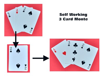 Chase The Ace Three 3 Card Monte Self Working Easy Card Magic Packet Trick New