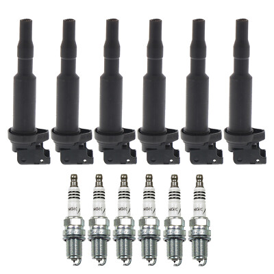 Bosch 6 Ignition Coil NGK 6 Iridium IX Spark Plug Kit For E46 E60 E83 E53 E85 L6