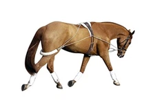 Pessoa Horse Training System Lunging Aid
