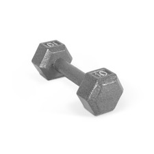 10Lb Cast Iron Hex Dumbbell Single Muscle Building Equipment Fitness Strength