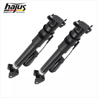 2X Original hajus Federbein Luftfeder Hinten Mit ADS Mercedes ML W164 GL X164