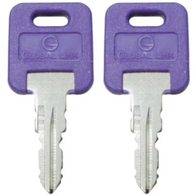 1 Pair (2 keys) Global Link OEM Precut PURPLE Keys RV Trailer Camper Keys G354