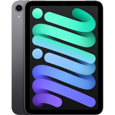 2021 Apple iPad Mini (Wi-Fi, 64GB) - Space Gray