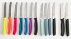 NEW VICTORINOX Bread Knife Kitchen Knife Tomato Knife New Color Modern