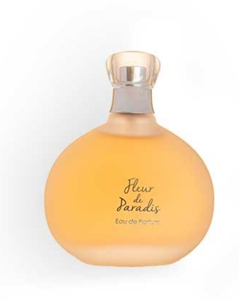 Fleur De Paradis grand modèle orange et bleu pour illuminer l'ambiance de votre salon moderne