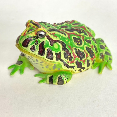 s*5様 DEV LARGE THE EYEINHITAE KUROFUNE 9 Yujin The Frog in Colour Mini Figure Argentine Horned Frog 2006