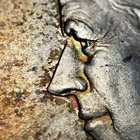 1964 50c Kennedy Half Dollar - Rainbow Accent Toning - BU - SKU-H3202