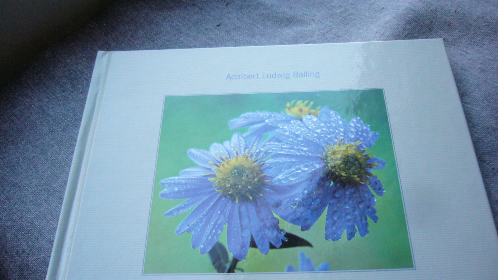 Der Seele Flügel verleihen von Adalbert Ludwig Balling