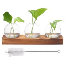Small Plant Propagation Stations Glass Vases with Wooden Tray 3 Bulb Flower Vase