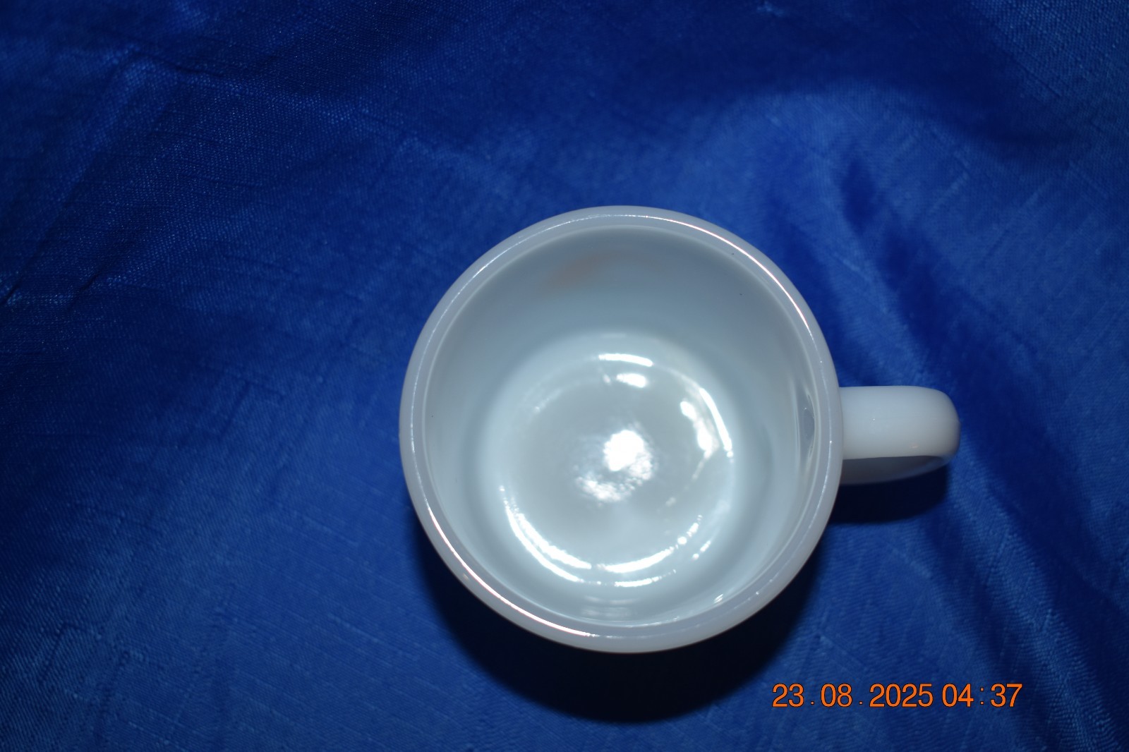 Picture 7 of 7