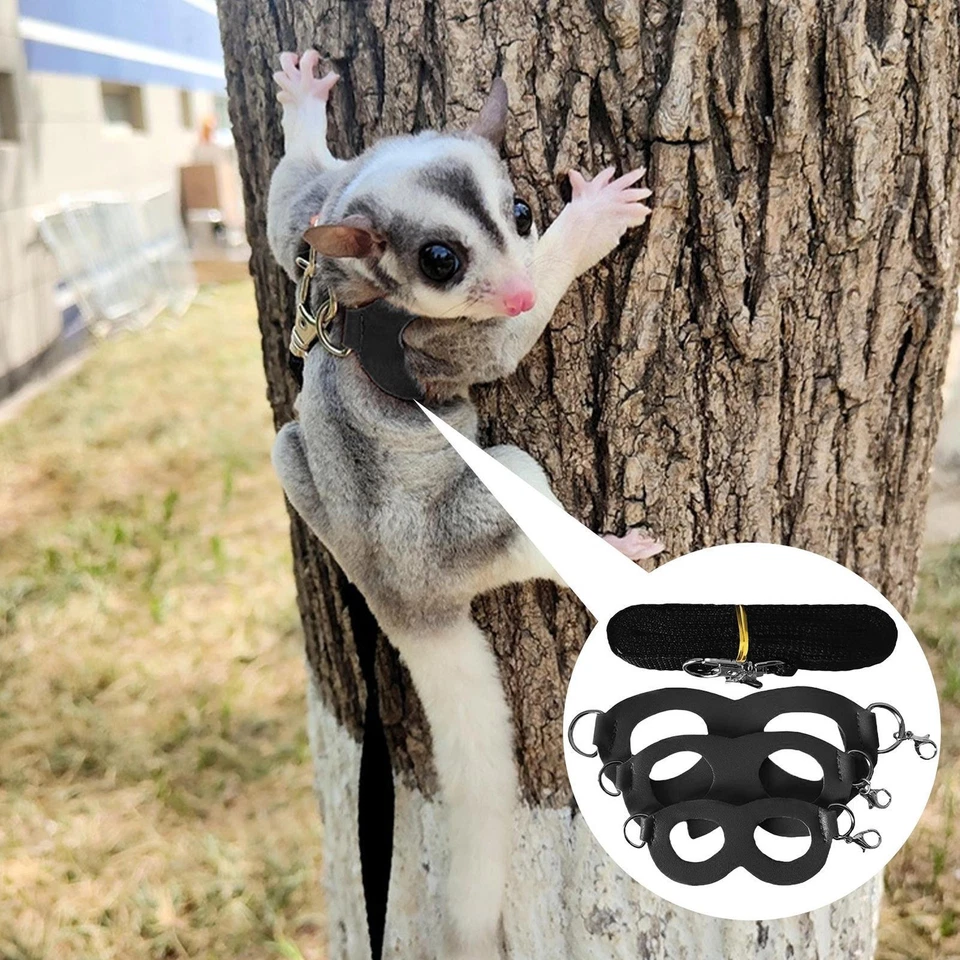 Ремень для груди хомяка белки сцепной веревкой уличный жгут сахарный планер комплект 4 шт. - Изображение 2 из 4