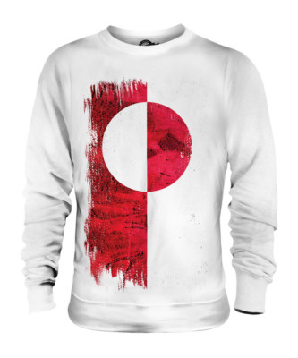 GREENLAND GRUNGE FLAG UNISEX SWEATER TOP KALAALLIT NUNAAT GREENLANDIC GRÏNLAND