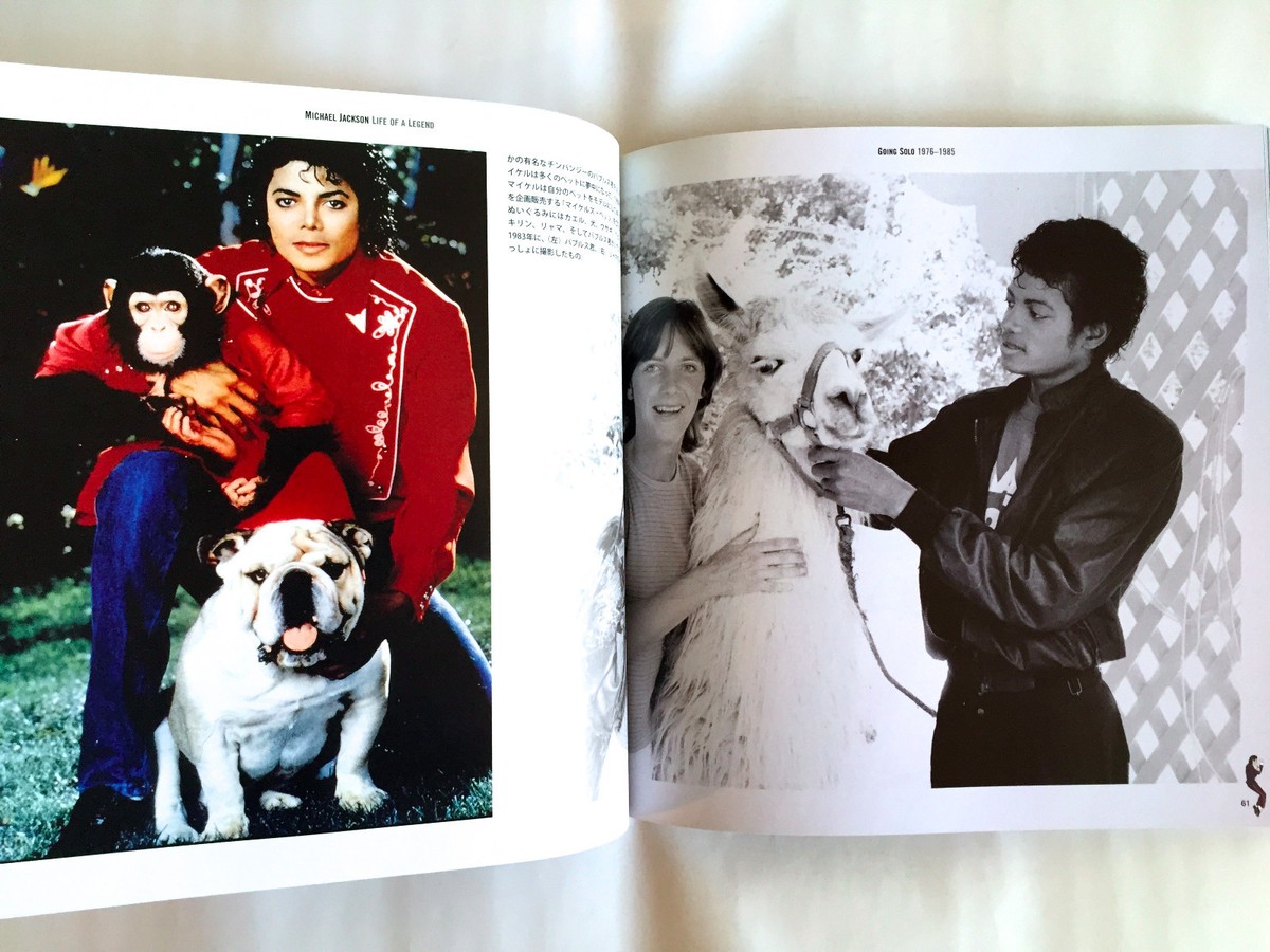アート・デザイン・音楽 Michael Jackson : A Life In Pictures Charitybuzz: Michael Jackson, Original Artwork by Music