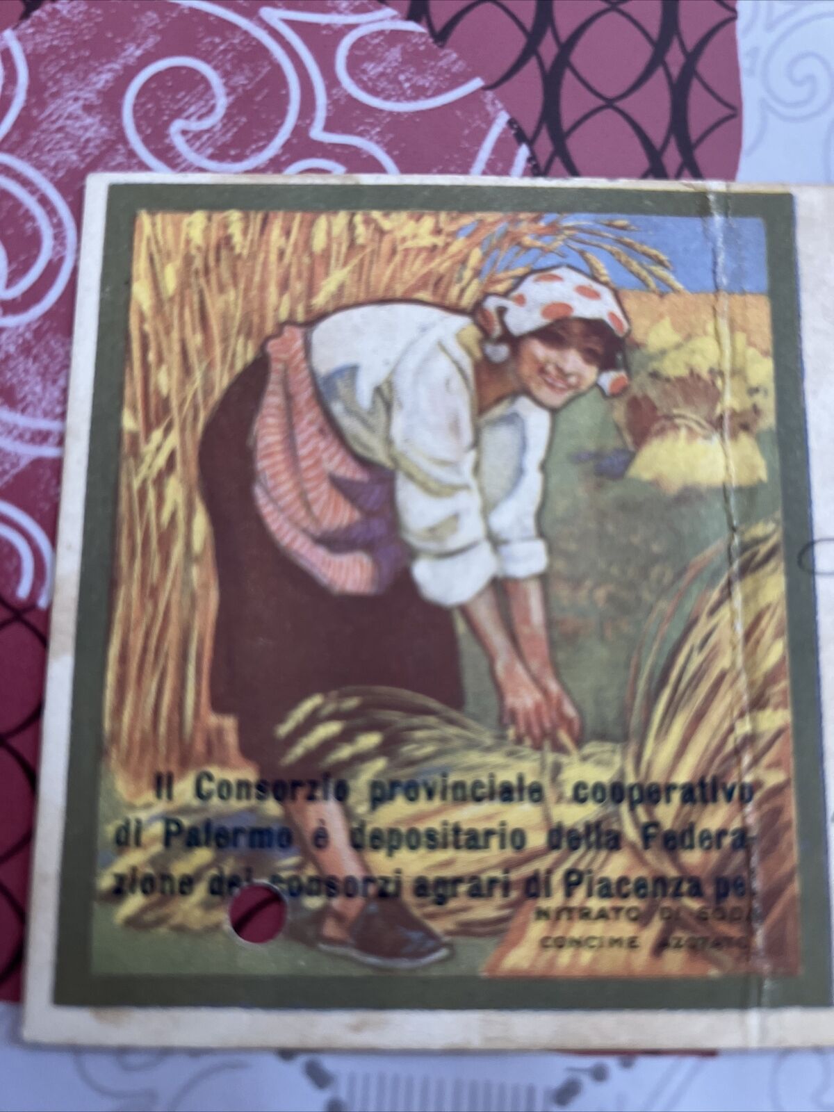Foto 2 di 8